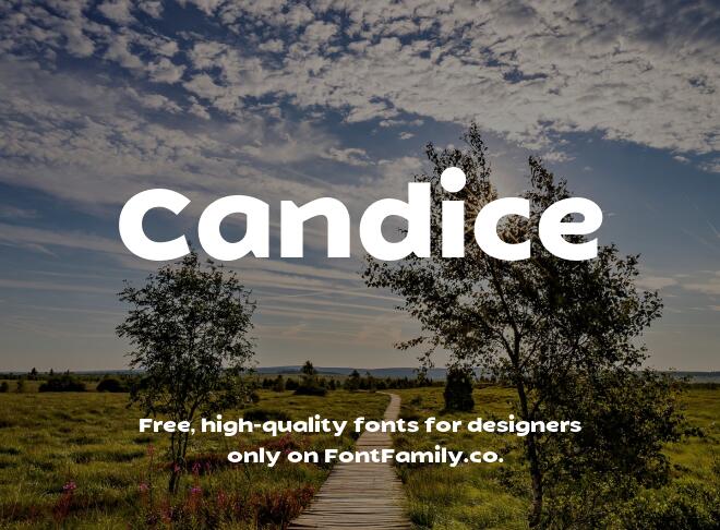 Candice Font