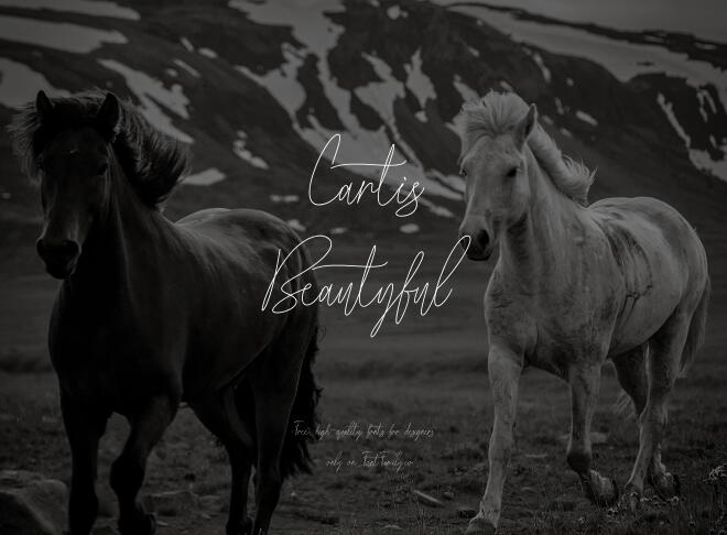 Cartis Beautyful Font