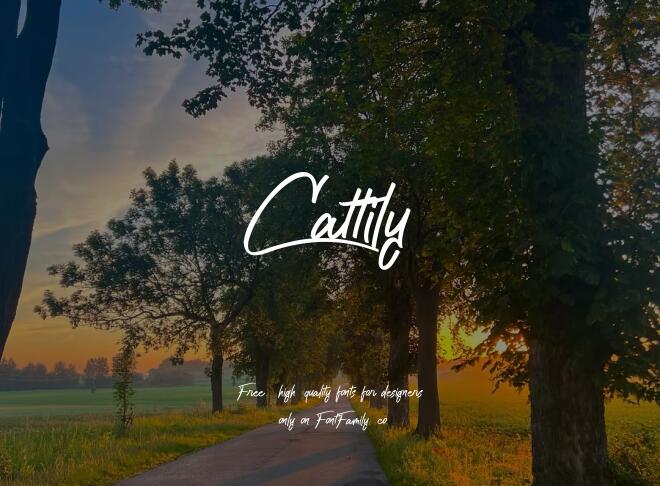 Cattily Font