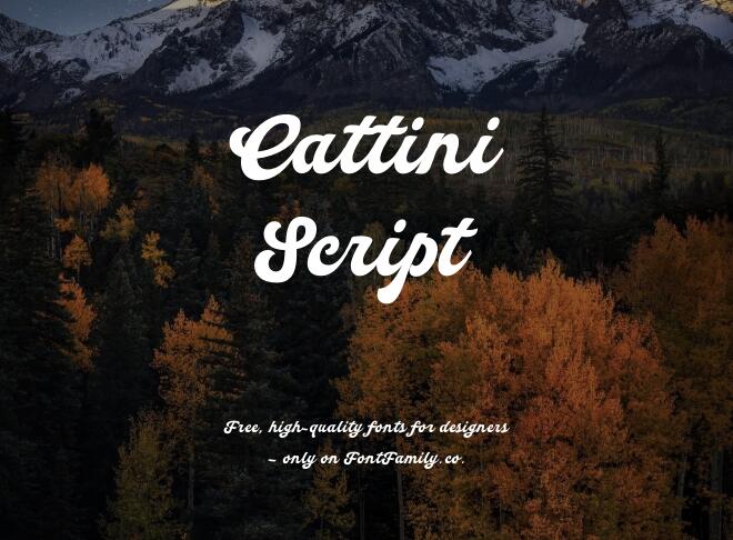 Cattini Script Font