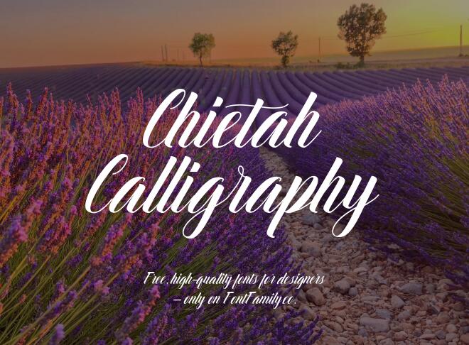 Chietah Calligraphy Font