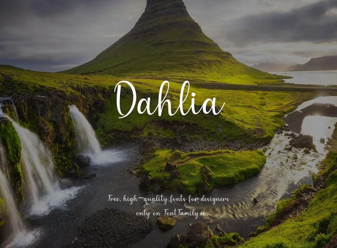 Dahlia Font