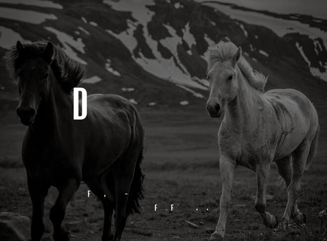 Designer Font