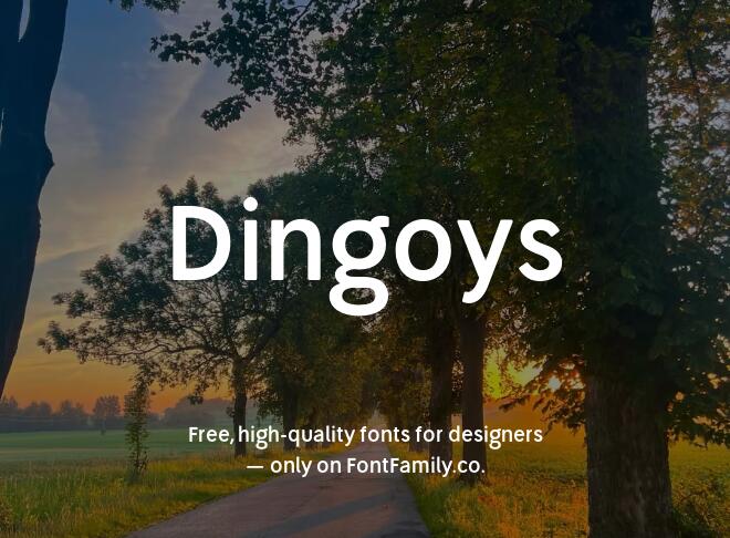 Dingoys Font