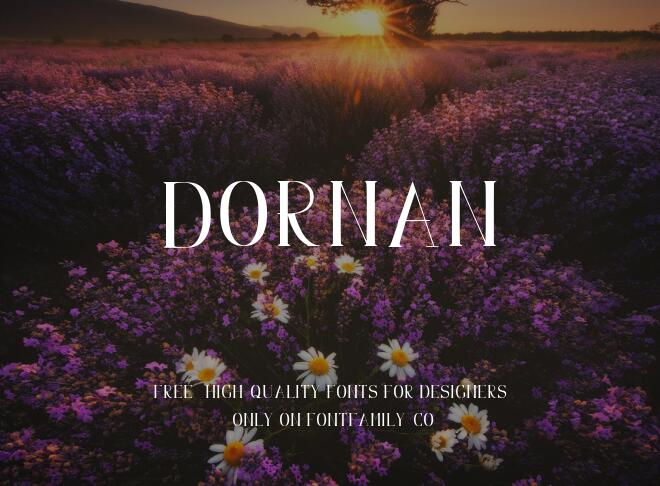 Dornan Font