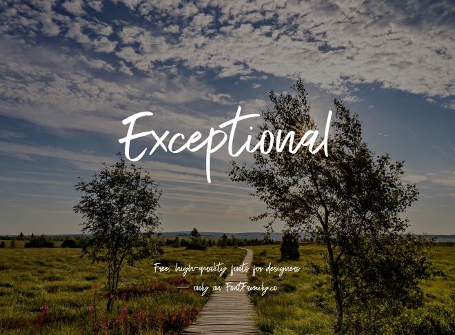 Exceptional Font