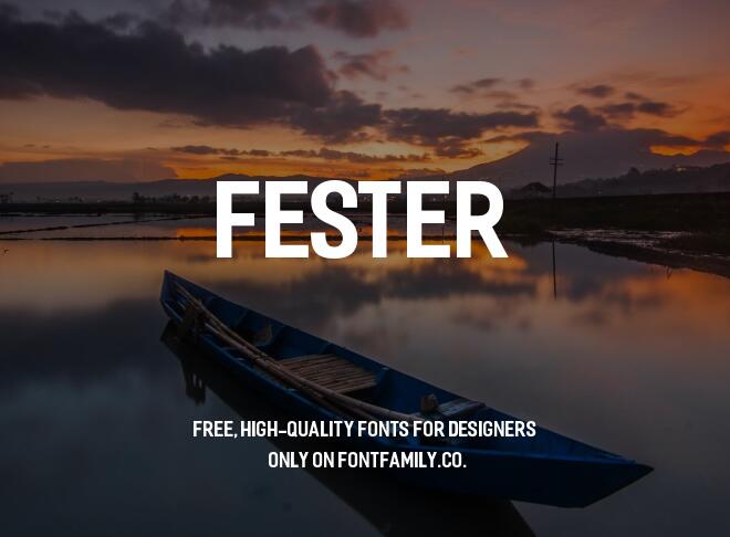 Fester Font