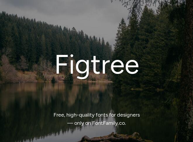Figtree Font