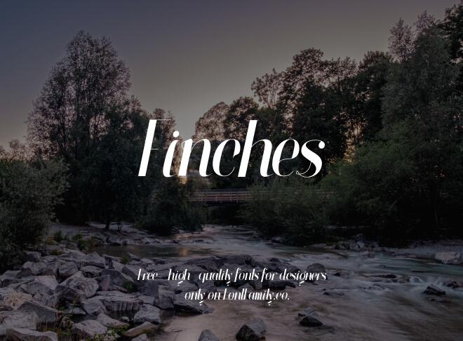 Finches Font