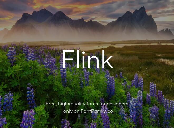 Flink Font