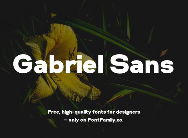 Gabriel Sans Font
