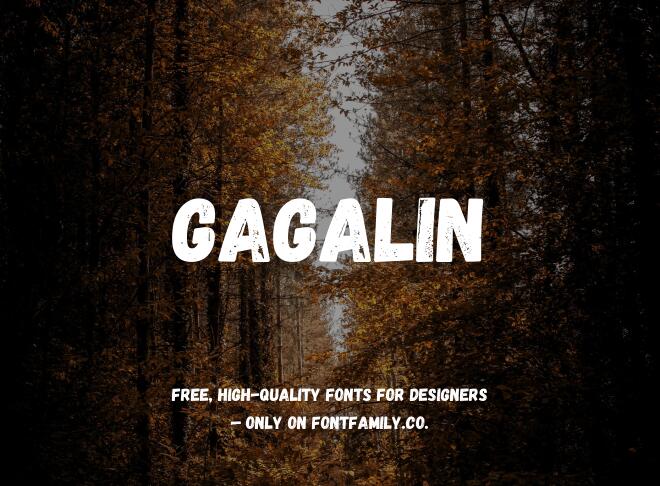 Gagalin Font
