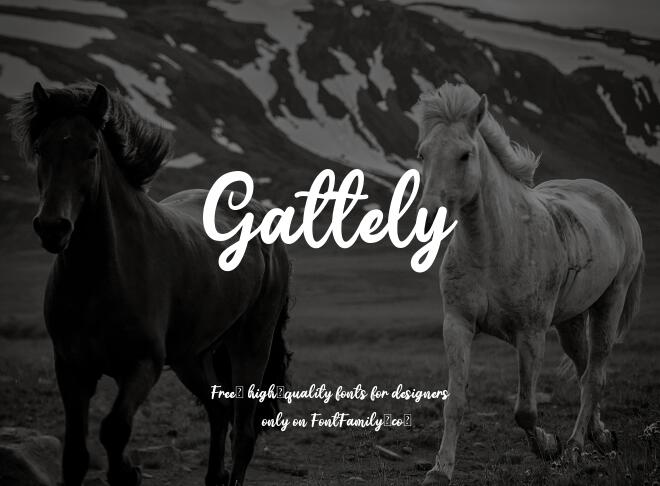Gattely Font
