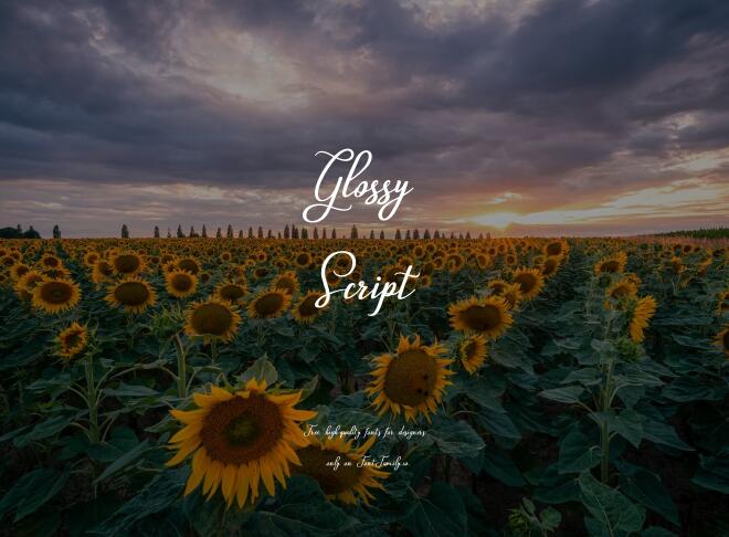 Glossy Script Font