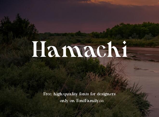 Hamachi Font