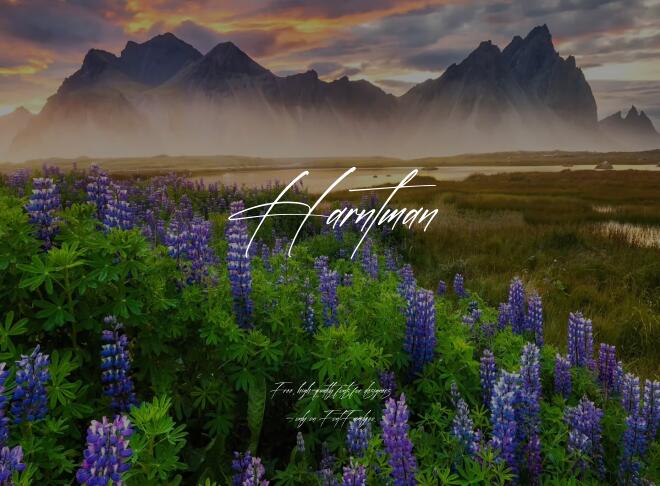 Harntman Font