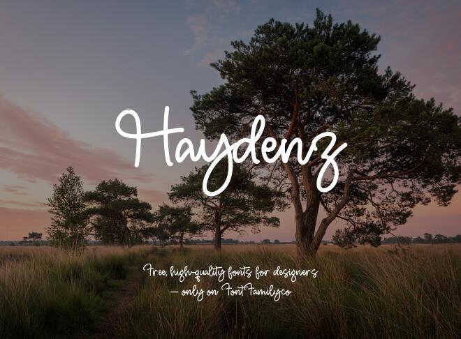 Haydenz Font