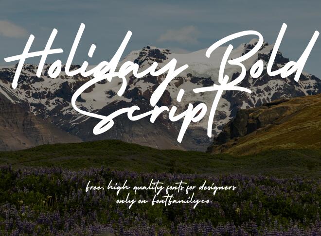 Holiday Bold Script Font