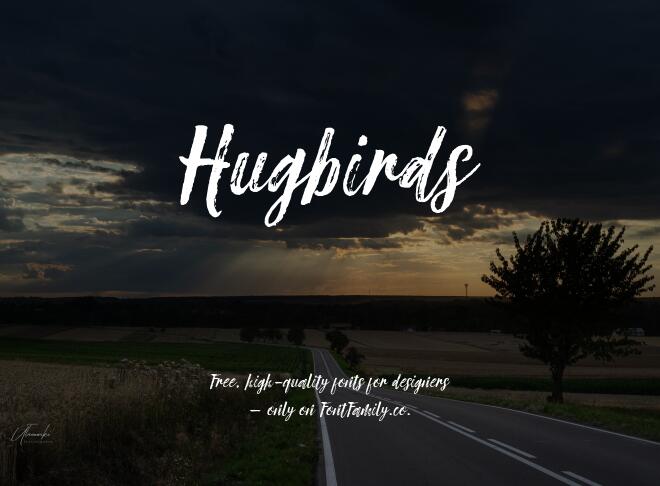 Hugbirds Font