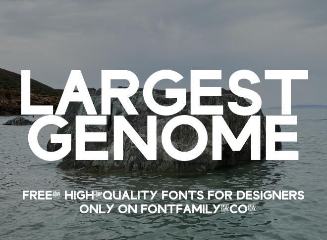 Largest Genome Font