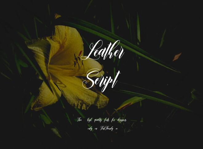 Leather Script Font
