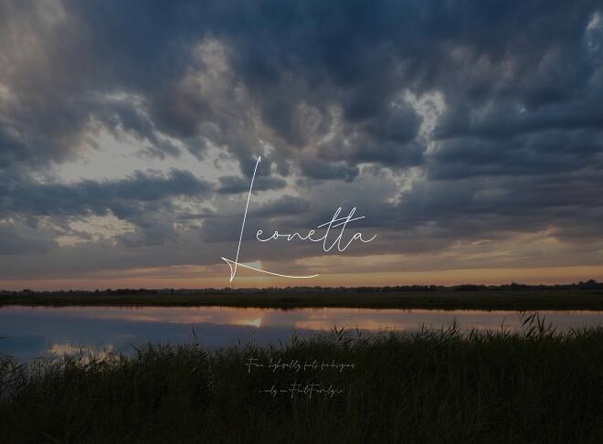 Leonetta Font