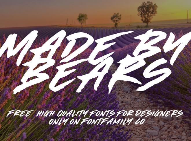 Made By Bears Font