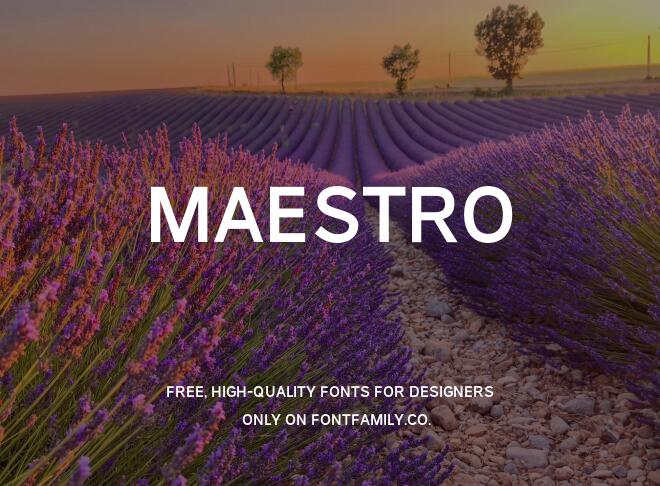 Maestro Font