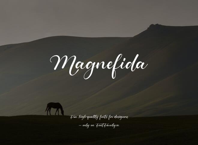Magnefida Font