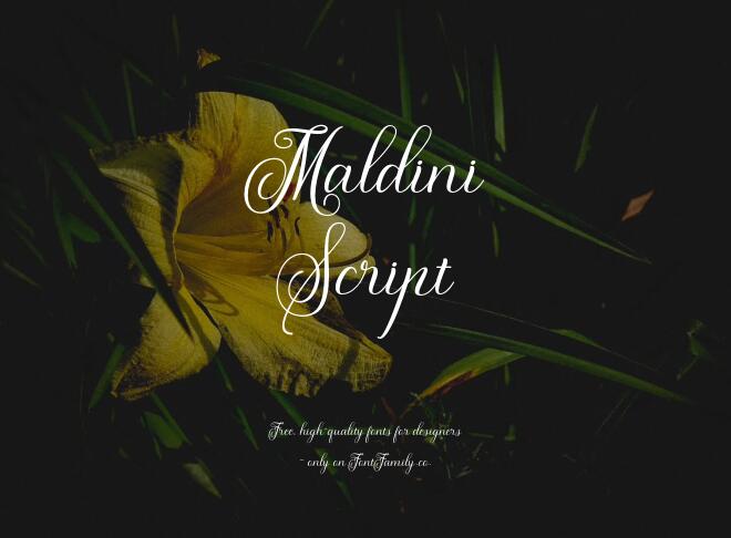 Maldini Script Font