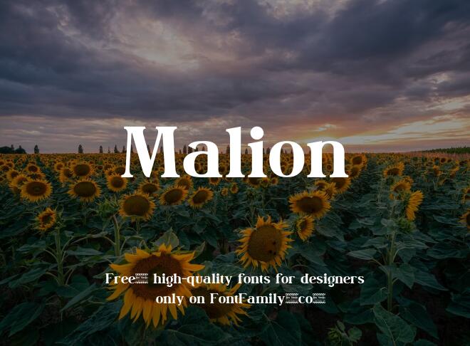 Malion Font