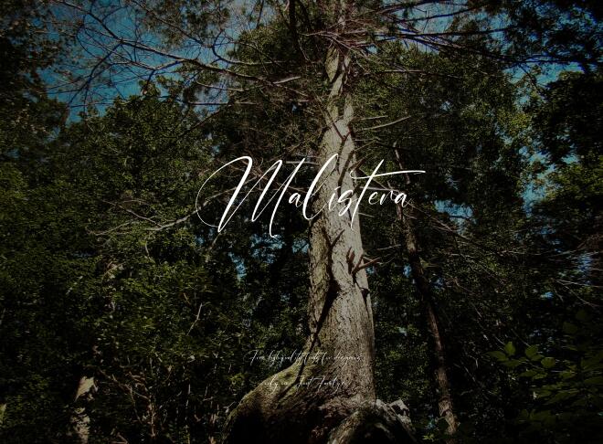 Malistera Font