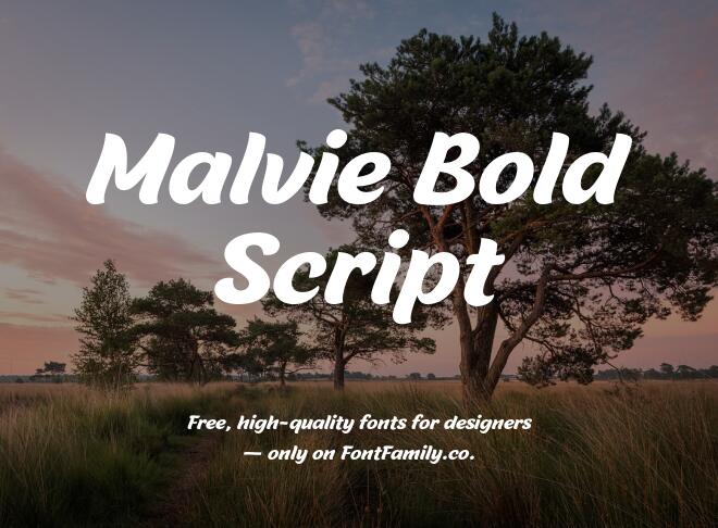 Malvie Bold Script Font