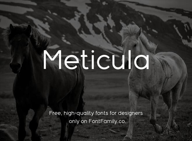 Meticula Font