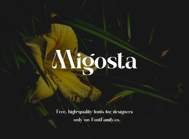 Migosta Font