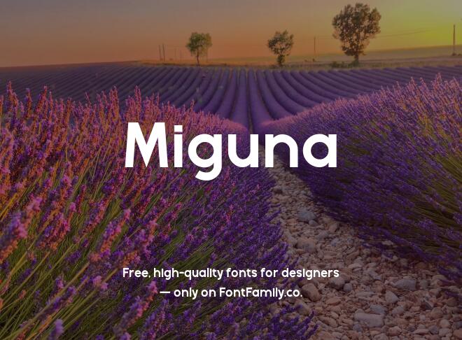 Miguna Font