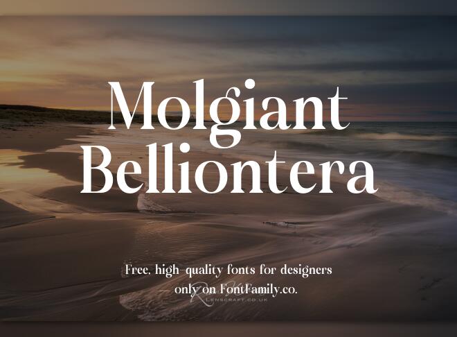 Molgiant Belliontera Font