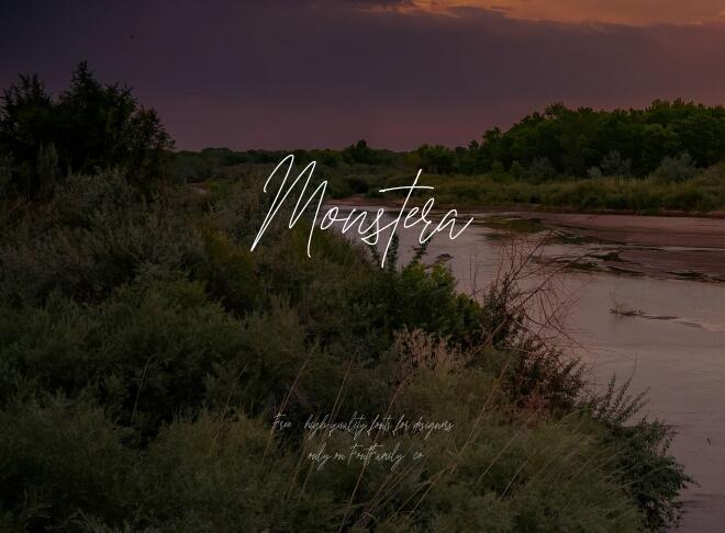 Monstera Font
