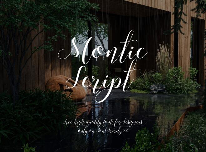 Montic Script Font
