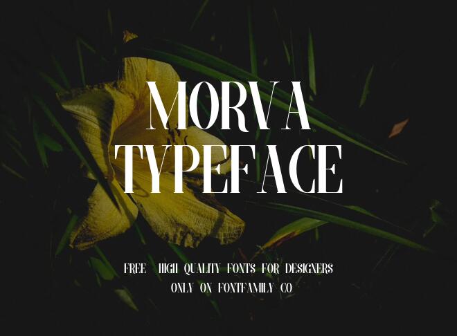 Morva Typeface Font