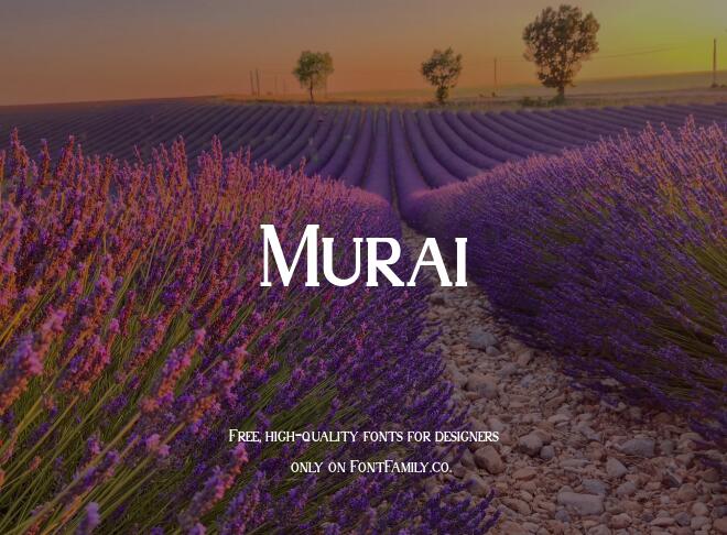 Murai Font