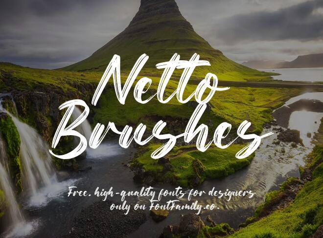 Netto Brushes Font