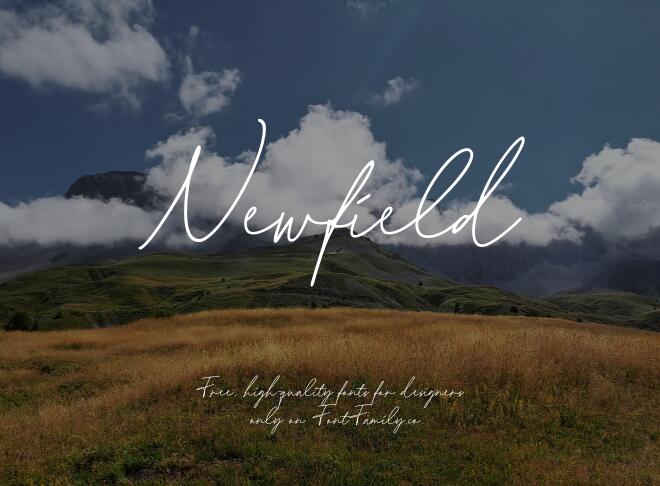 Newfield Font