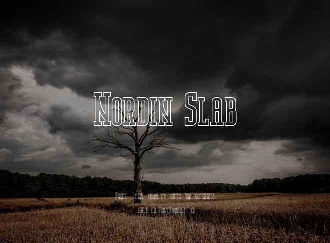 Nordin Slab Font