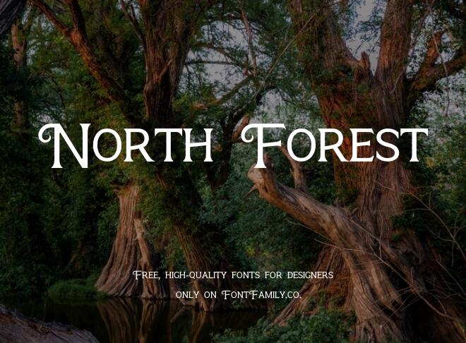 North Forest Font