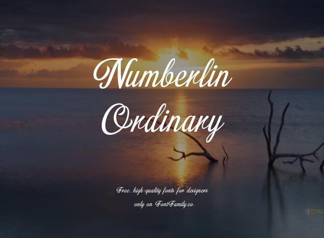 Numberlin Ordinary Font