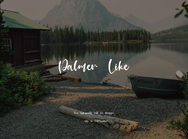 Palmer Like Font