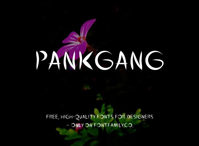 Pankgang Font
