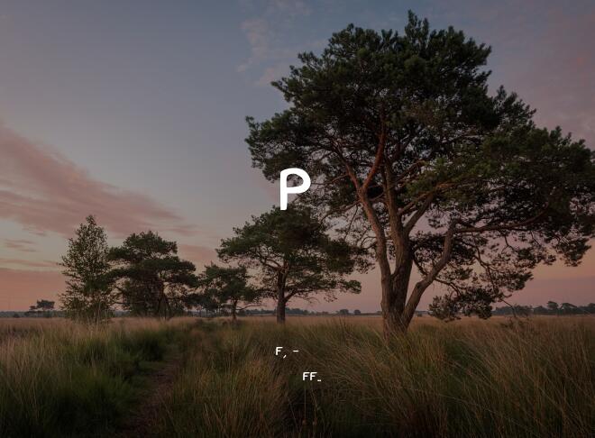 Parker Font