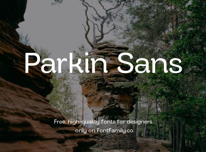 Parkin Sans Font